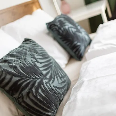 Golden Rezidence Nova Karolina Апартаменты Острава